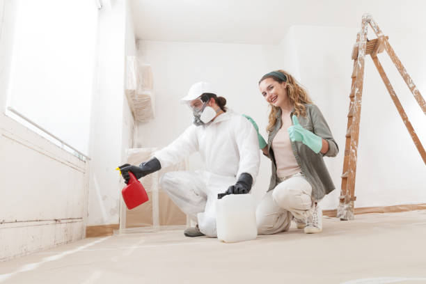 Professional Mold Inspection, Removal & Remediation in Somers Point, NJ